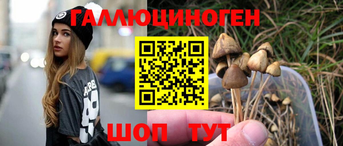 Псилоцибиновые грибы GOLDEN TEACHER Междуреченск